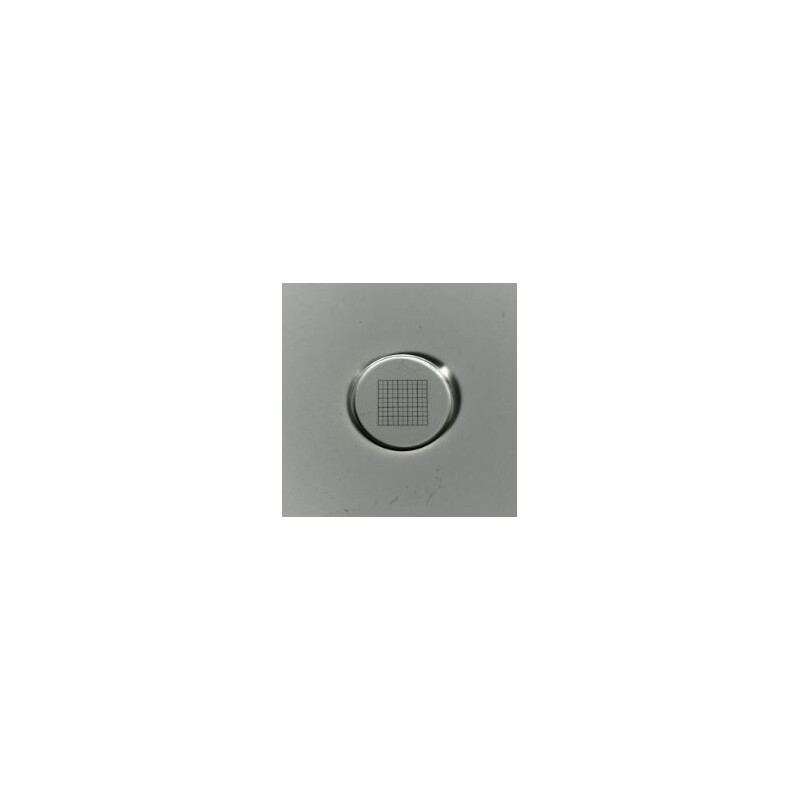 ZEISS Placa micrométrica Micrómetro de malha 10x10/5:10, d=21 mm