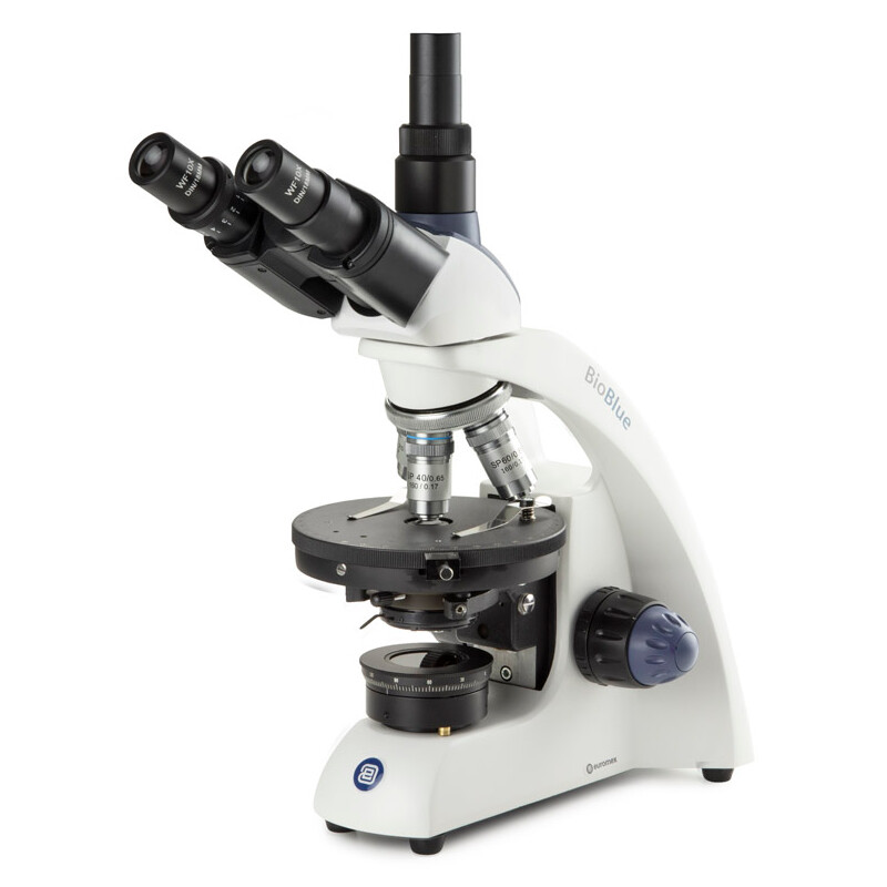 Euromex Microscópio BioBlue da , BB.4243-P-HLED, trino, Pol, DIN, 40x-600x, 10x/18, LED, 1W