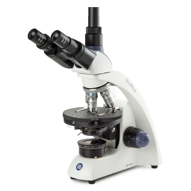 Euromex Microscópio Mikroskop BioBlue, BB.4243-P-HLED,trino, Pol, DIN, 40x-600x, 10x/18, LED, 1W