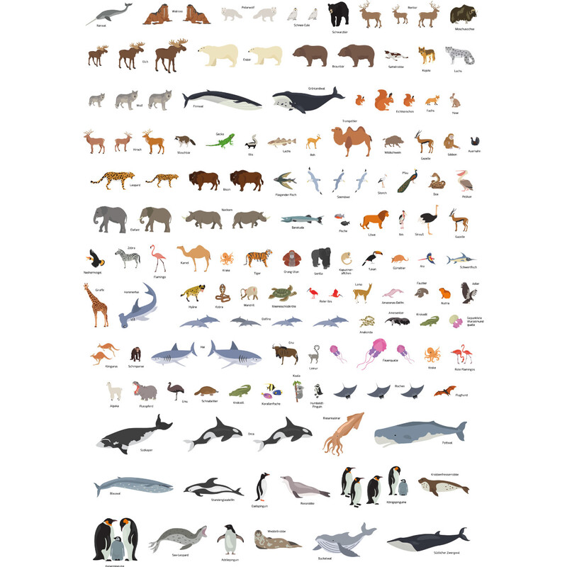 GeoMetro Mapa para crianças O mundo dos animais (84 x 60 cm)