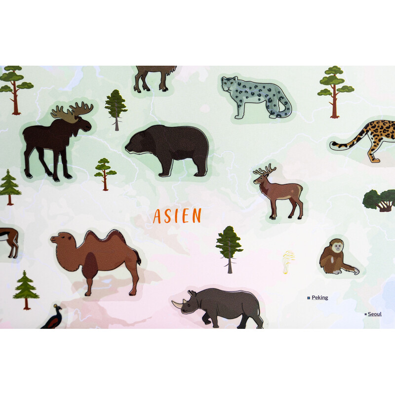 GeoMetro Mapa para crianças O mundo dos animais (84 x 60 cm)