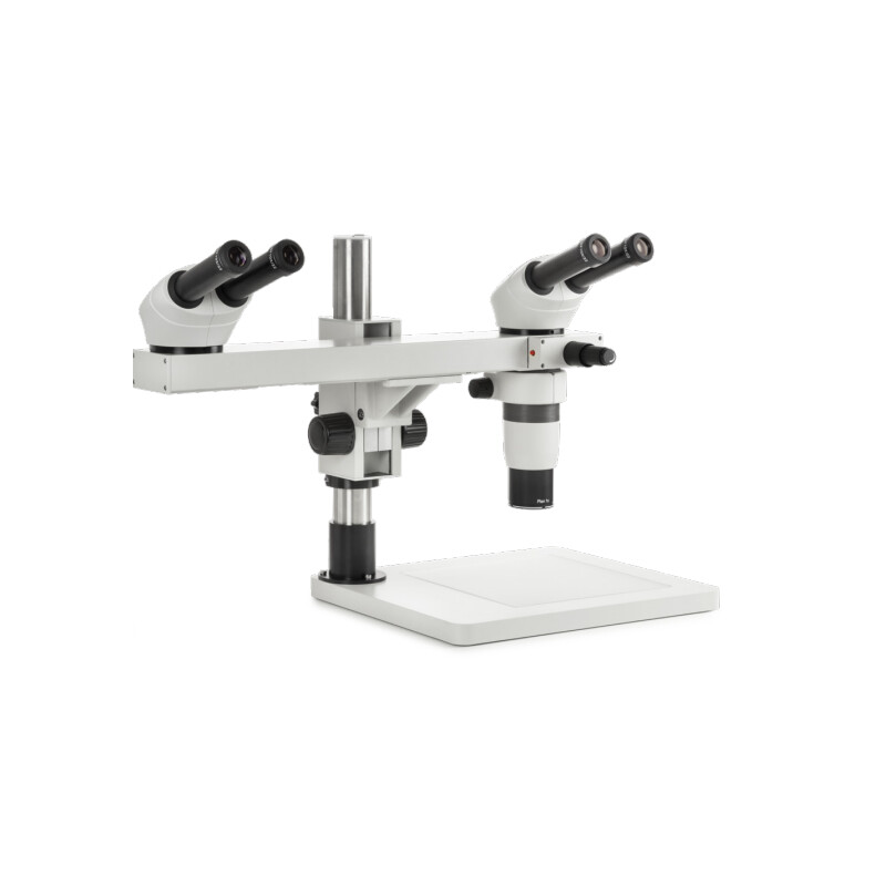 Euromex Microscópio estéreo zoom DZ.1604, bino, sistema de cabeça dupla, 8-50x