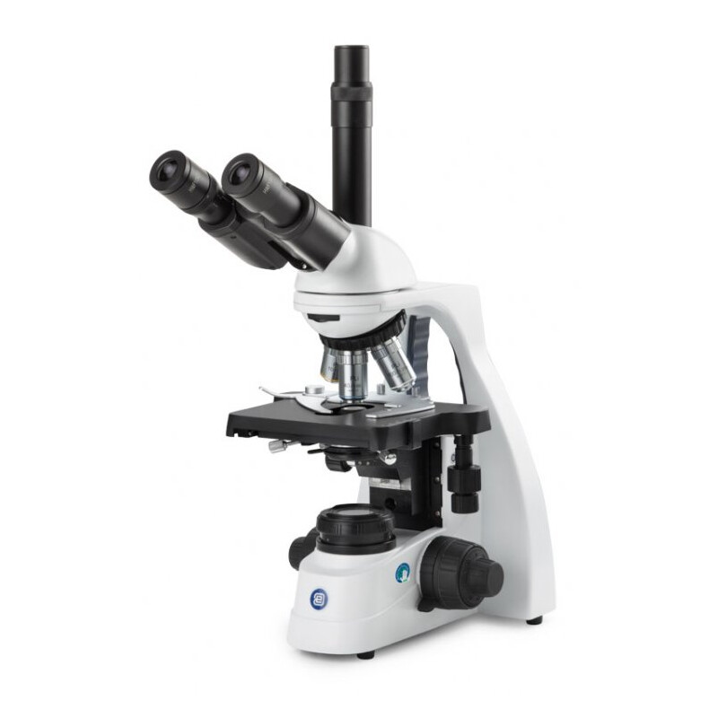 Euromex Microscópio BS.1153-EPL/DF, DF,  trino, 10x/20 mm, PL, 40x-1000x, DL, 5W LED
