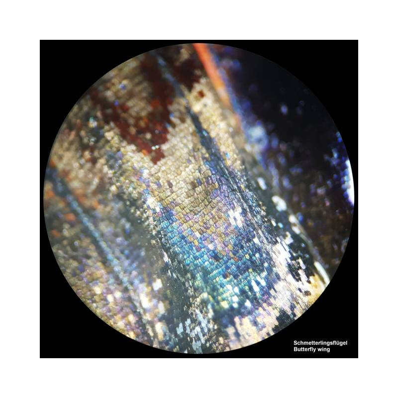 Bresser Microscópio stéreo Analyth STR 10x-40x bino; Greenough; 50mm; 10x/20; 10-40x; LED
