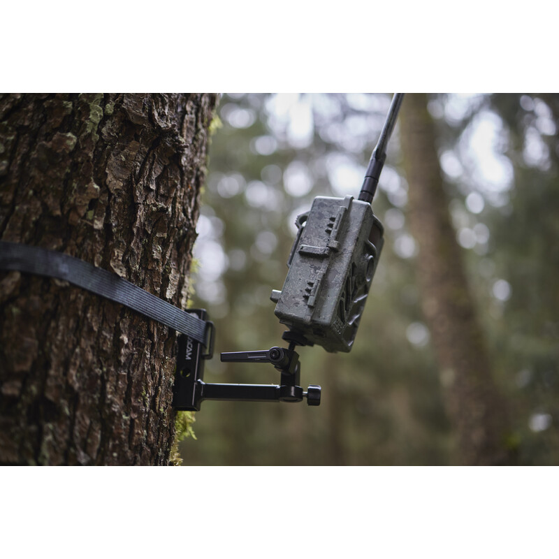 ZEISS Câmera foto selvagem Conjunto Secacam 5 e caixa metálica (embalagem de 2)