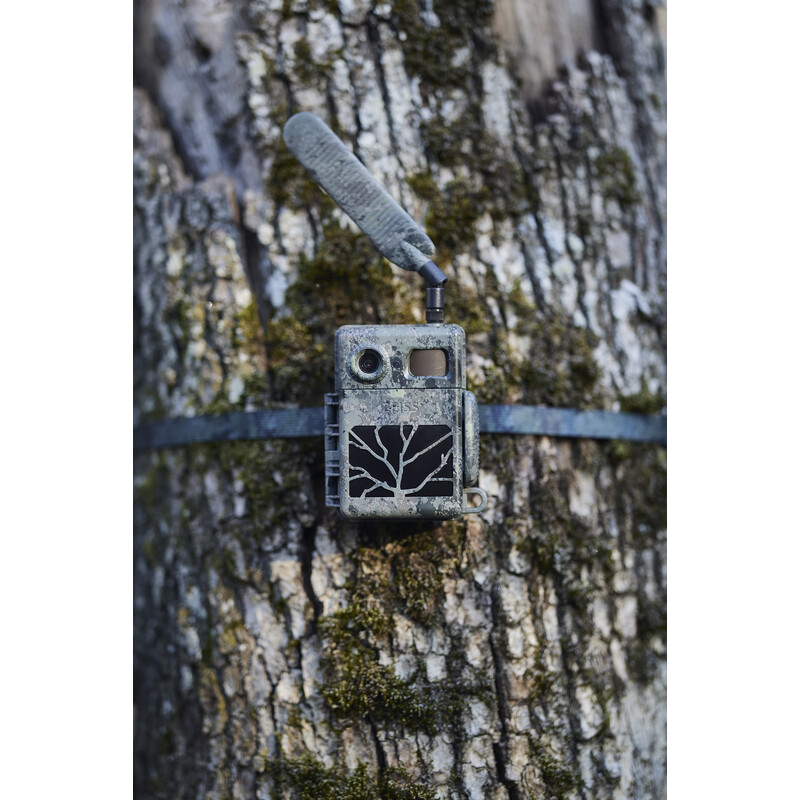 ZEISS Câmera foto selvagem Conjunto Secacam 7 e caixa metálica