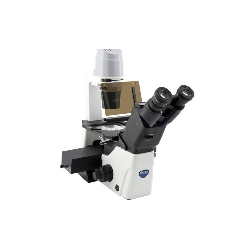 Microscópio invertido IM-300LD4, FL, trino, inverso, INFINITY, plano, 100x-400x, 10x/22, Al/Dl, LED, 8W