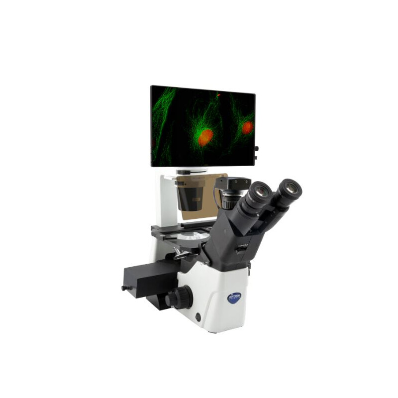 Microscópio invertido IM-300LD4D Digital Inverted LED fluorescence microscope, 400x, IOS LWD PLAN F, 4 empty filterset slots