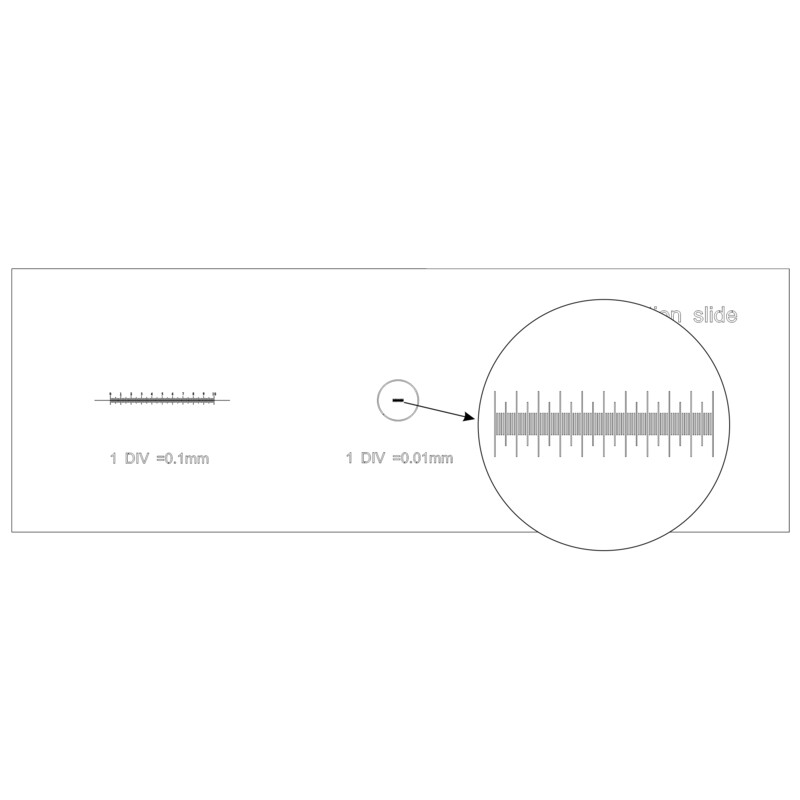 MAGUS Lâmina de microscópio para Calibragem CS3