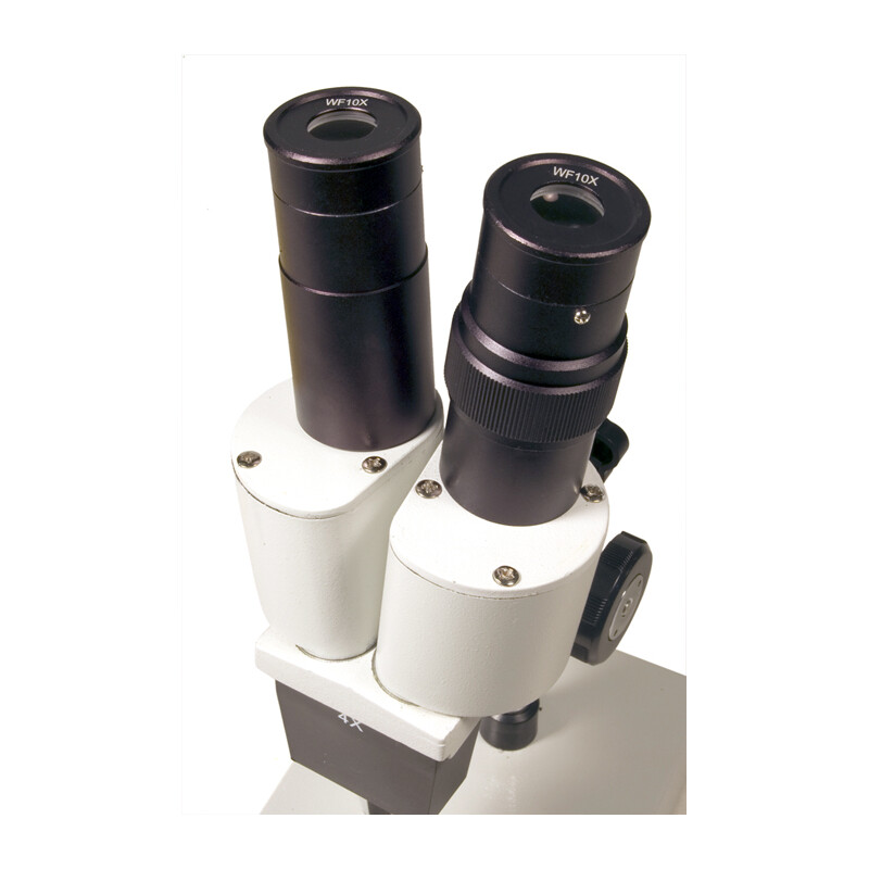 Levenhuk Microscópio stéreo 2ST 40x