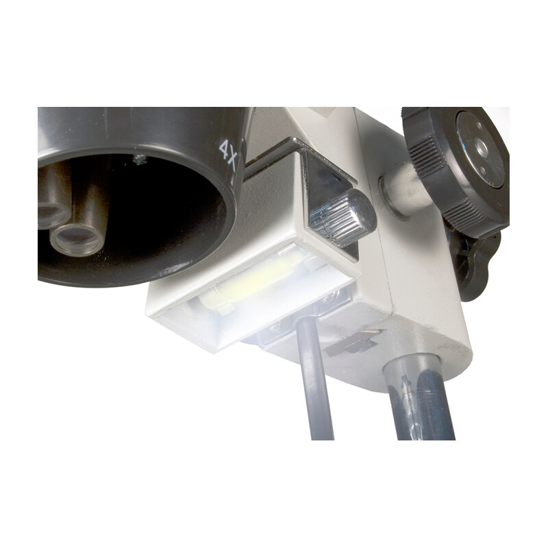 Levenhuk Microscópio stéreo 3ST 20-40x Halogen