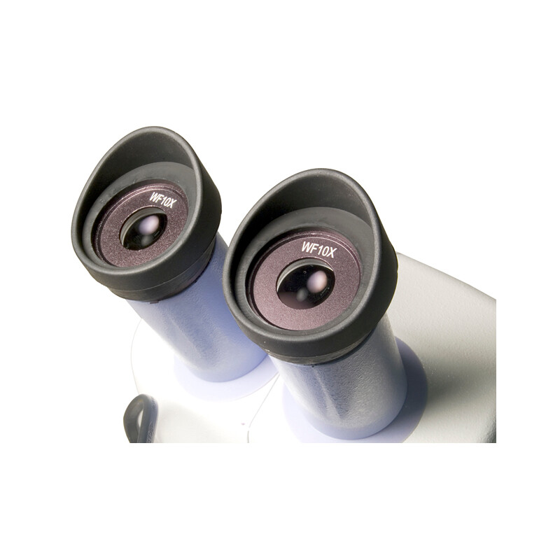 Levenhuk Microscópio stéreo 5ST 20-40x LED