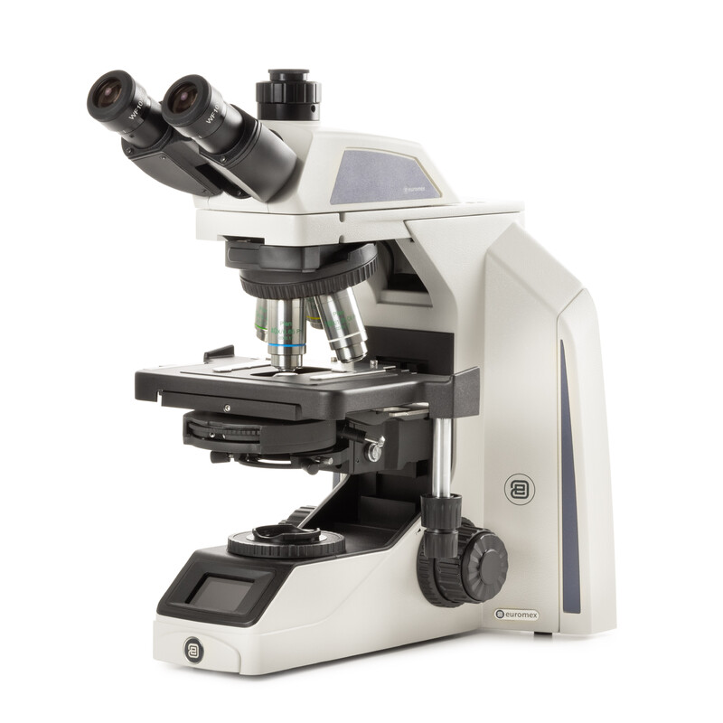 Euromex Microscópio Achios-X Observer, AX.1152-PLPHi, bino, EWF 10x/22 mm, plano, PH, PLPHi 10/20/S40/S100x óleo IOS, 3 W NeoLED™