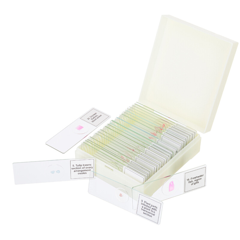 Discovery Prof DPS 25 kit de lâminas preparadas