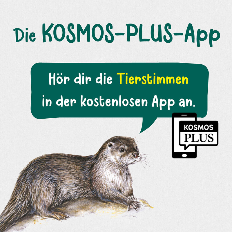 Kosmos Verlag O que vive nos ribeiros e lagos?