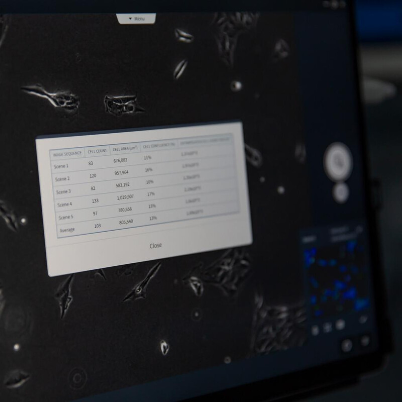 ZEISS Software Labscope Módulo AI Cell Counting Chamber DLic