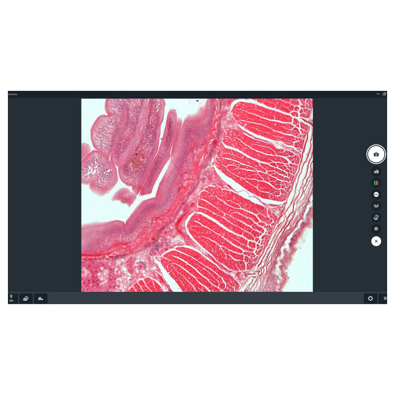ZEISS Software Labscope Módulo AI Cell Counting Chamber DLic