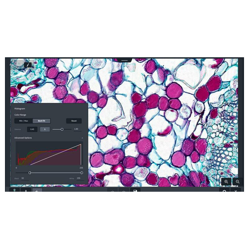 ZEISS Software Labscope Módulo AI Cell Counting Chamber DLic