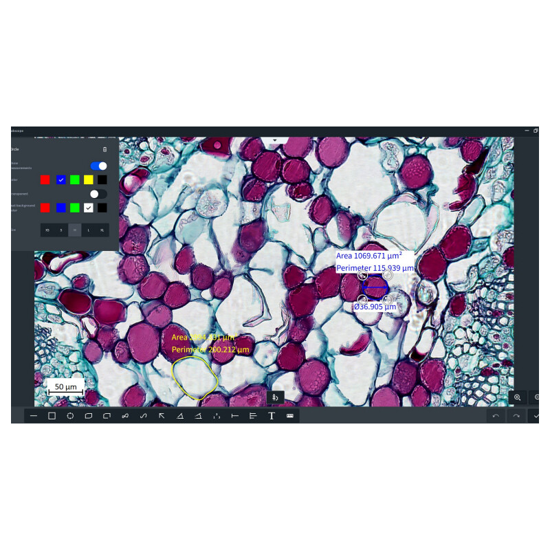 ZEISS Software Labscope Módulo AI Cell Counting Chamber DLic