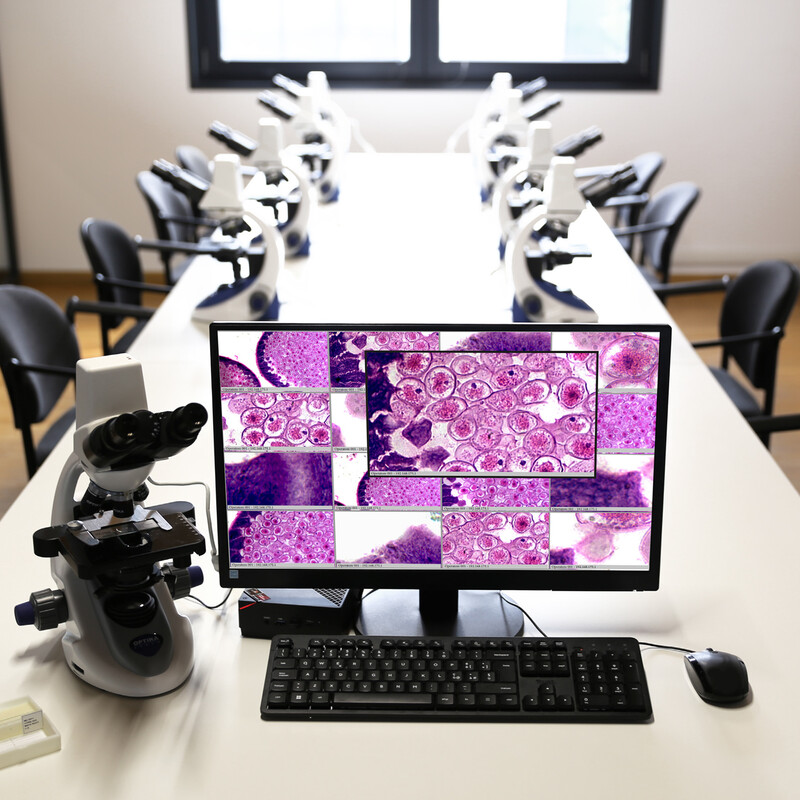 Optika Microscópio OWL (-WI-LEARN) Teacher Station - B-290