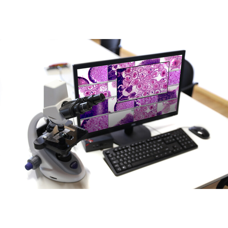 Optika Microscópio Pacote -WI-LEARN 1 professor + 24 estações para alunos