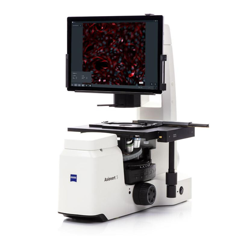 ZEISS Microscópio Axiovert 5 Digital, PH, FL, 50-400x, Ph1, 0,4 NA, LED, 5 MP, cor