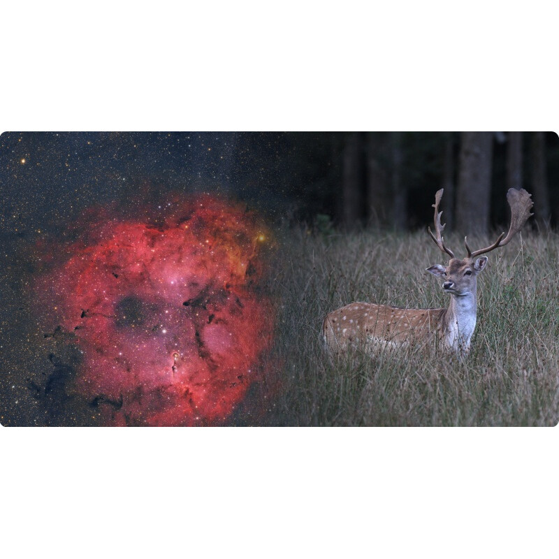 ToupTek Refrator apocromático HOPE D60 60/280 Tilter