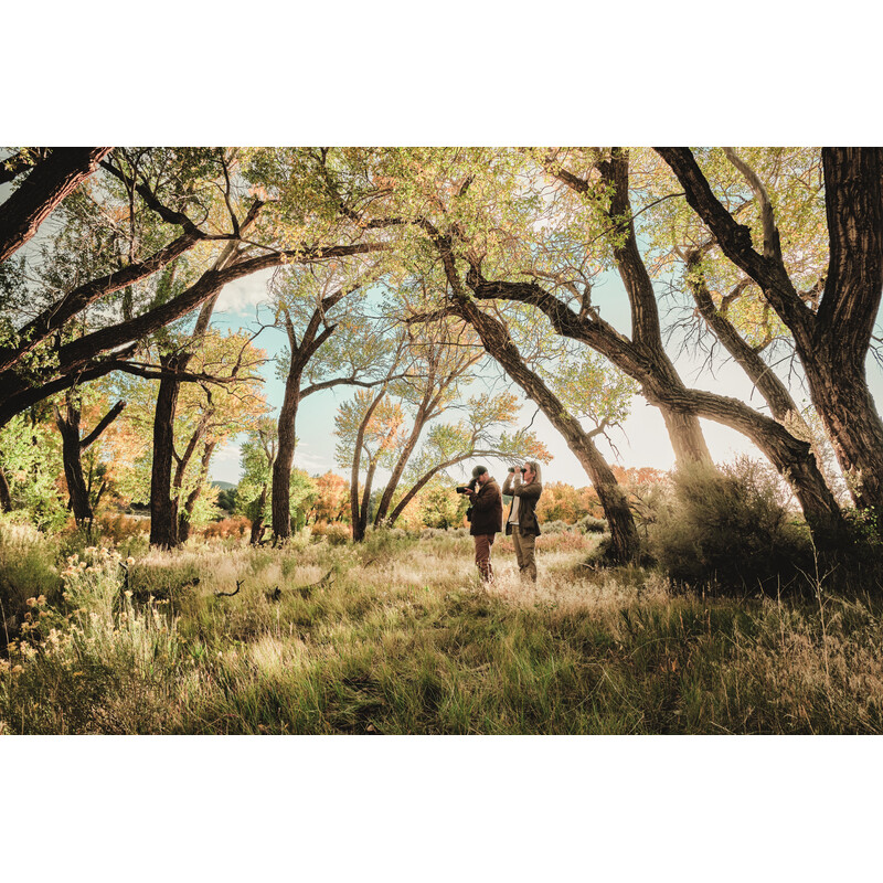 Swarovski Luneta AT Balance 18-45x65