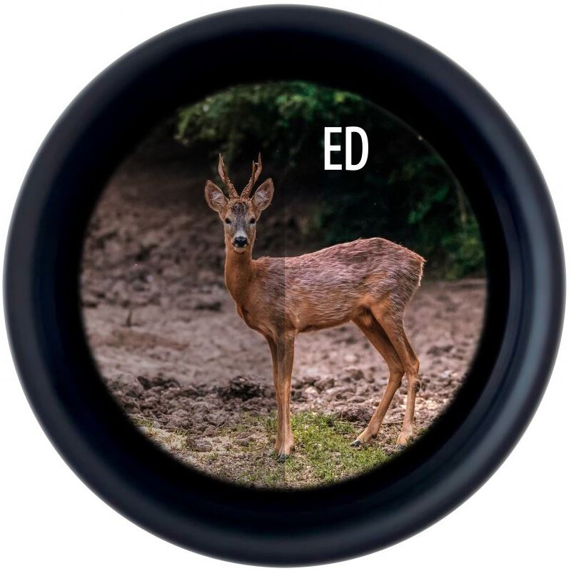 Minox Binóculo X-Tour 10x42