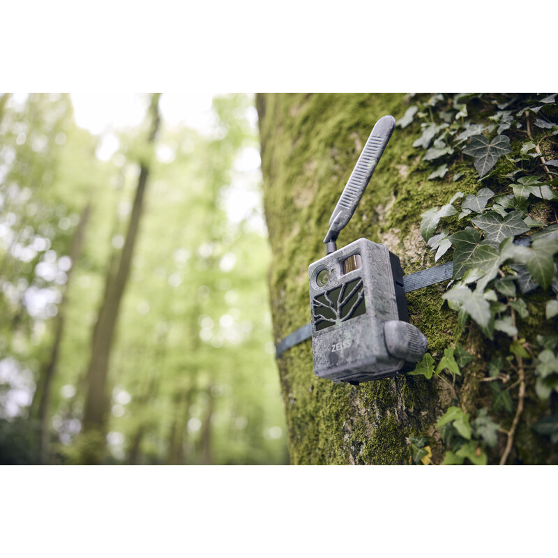 ZEISS Câmera foto selvagem Secacam 3 Grande Angular