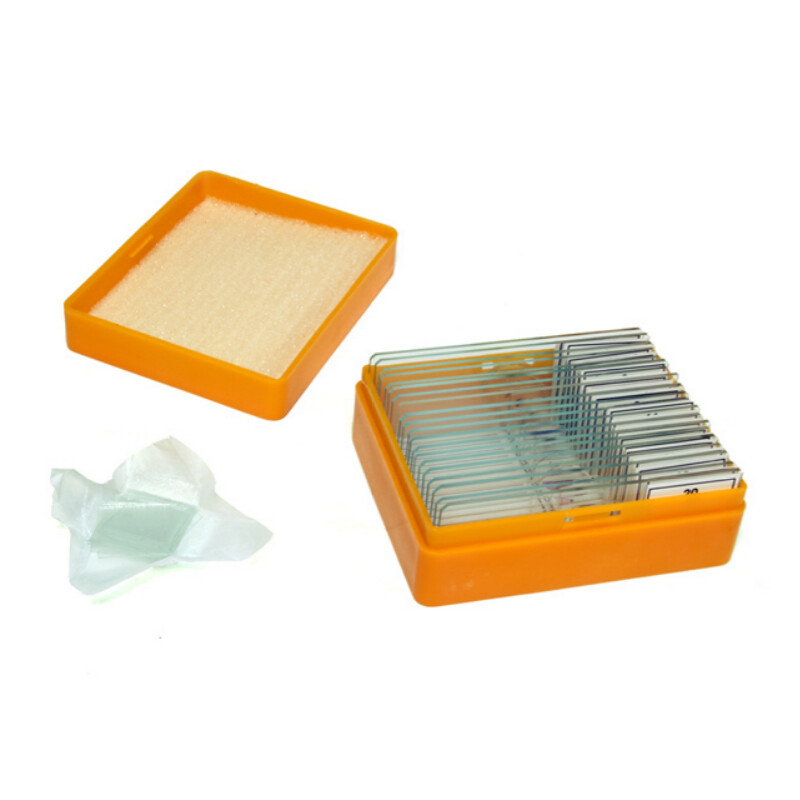 Levenhuk Lâminas preparadas N20 NG