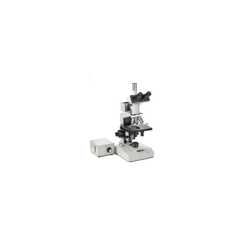 Euromex Microscópio ME.2665 Metalurgia