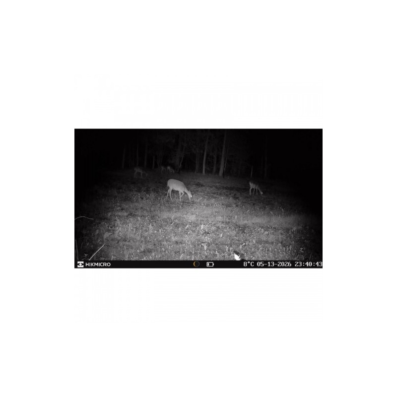 HIKMICRO Câmera foto selvagem T16