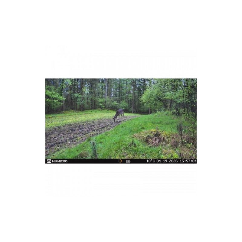 HIKMICRO Câmera foto selvagem T16