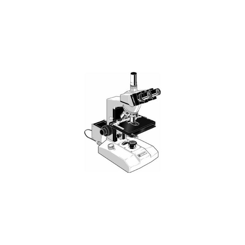 Euromex Microscópio GE.3035