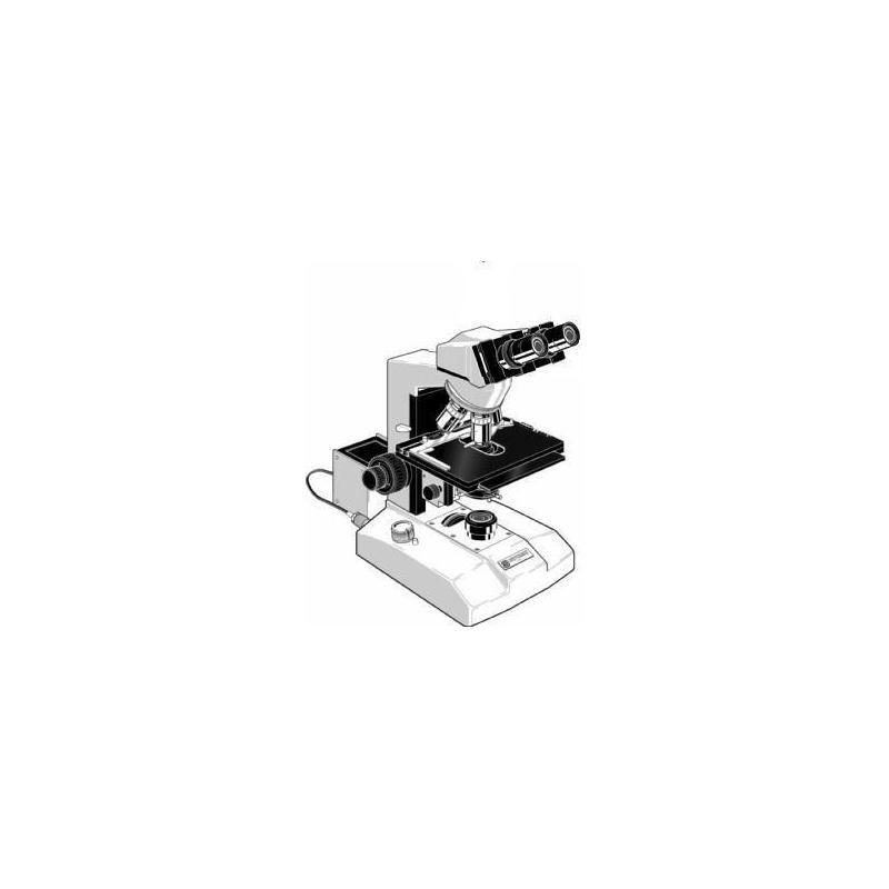 Euromex Microscópio GE.3030