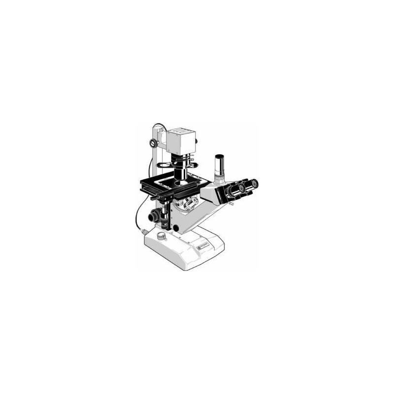 Euromex Microscópio FE.2955, inverso