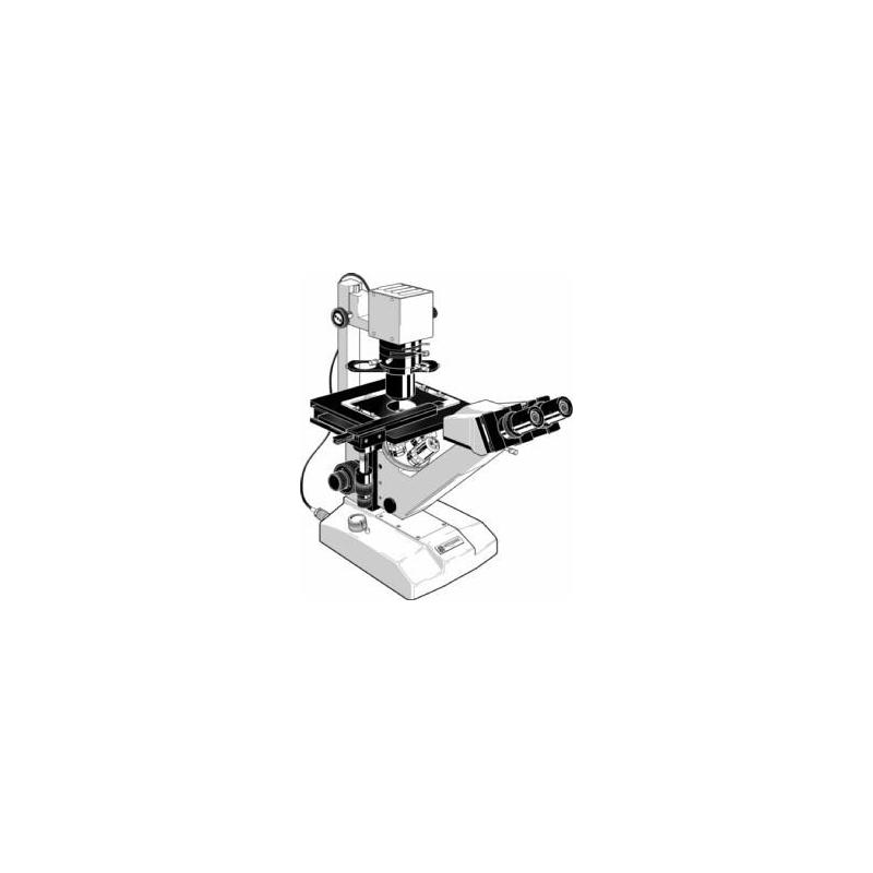 Euromex Microscópio FE.2950, inverso