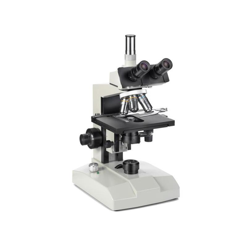 Euromex Microscópio FE.2540 com mesa aquecida