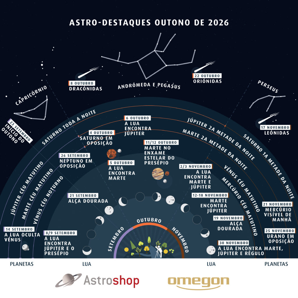 Infographic